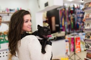 French bulldog puppy with owner in a pet store