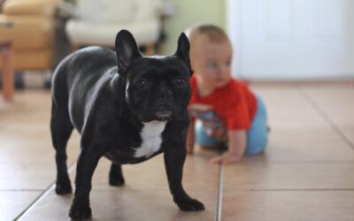 Teaching Your Children to Interact with a New Puppy